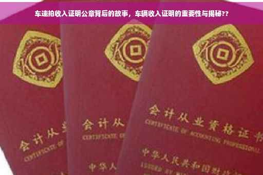车速拍收入证明公章背后的故事，车辆收入证明的重要性与揭秘??