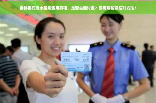 揭秘银行流水服务费用真相，是否需要付费？深度解析及应对方法！