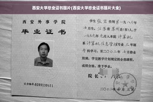 西安大学毕业证书图片(西安大学毕业证书图片大全)