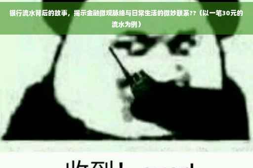 银行流水背后的故事，揭示金融微观脉络与日常生活的微妙联系??（以一笔30元的流水为例）