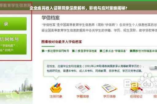 企业虚高收入证明现象深度解析，影响与应对策略揭秘?