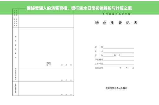 揭秘普通人的消费真相，银行流水日常花销解析与计算之道