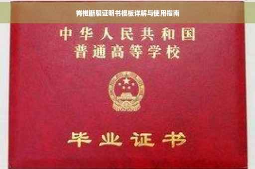 脊椎断裂证明书模板详解与使用指南