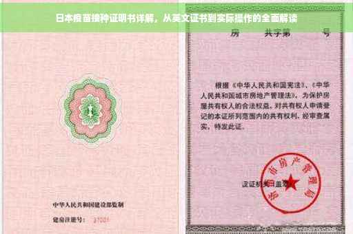 日本疫苗接种证明书详解，从英文证书到实际操作的全面解读