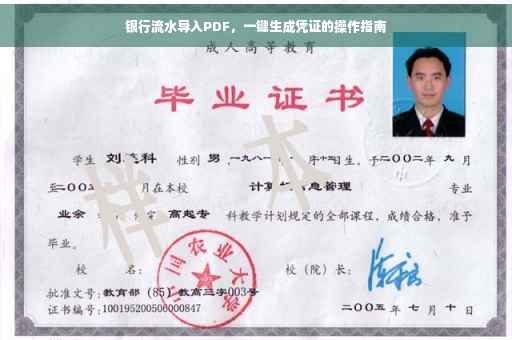 银行流水导入PDF，一键生成凭证的操作指南