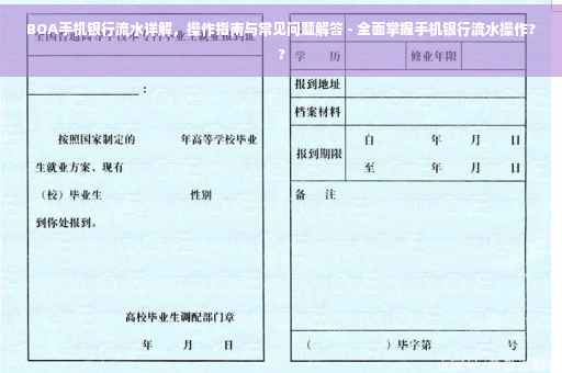 BOA手机银行流水详解，操作指南与常见问题解答 - 全面掌握手机银行流水操作??