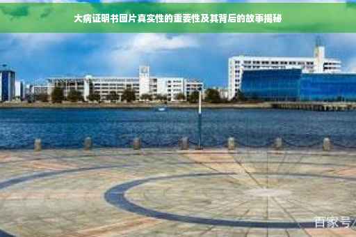 大病证明书图片真实性的重要性及其背后的故事揭秘