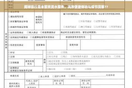 揭秘银行周末薪资流水服务，高效便捷体验与细节洞察??