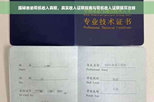 揭秘弟弟司机收入真相，真实收入证明指南与司机收入证明撰写攻略