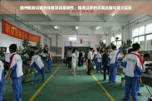 赣州疾病证明书详解及其重要性，健康证明的开具流程与意义探索
