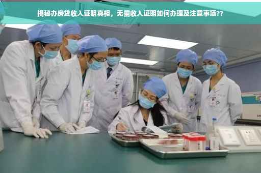 揭秘办房贷收入证明真相，无需收入证明如何办理及注意事项??