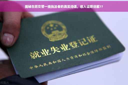 揭秘合肥交警一线执法者的真实待遇，收入证明详解??