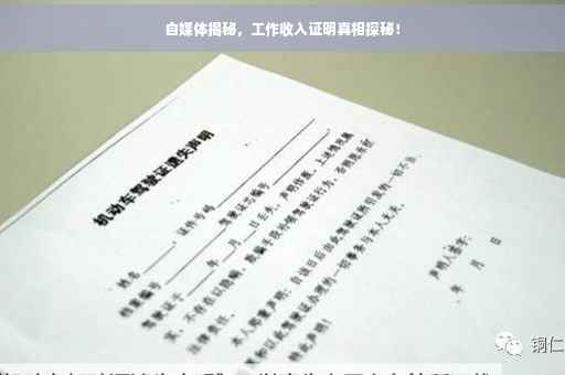 自媒体揭秘，工作收入证明真相探秘！