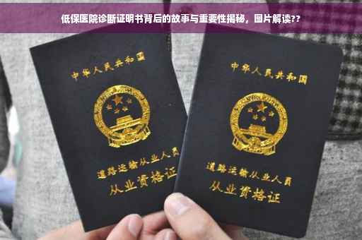 低保医院诊断证明书背后的故事与重要性揭秘，图片解读??
