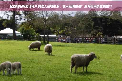 全面解析购房过程中的收入证明要点，收入证明给谁？查询指南及重要性??