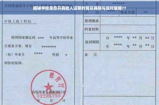 揭秘学校是否开具收入证明的背后真相与应对策略??