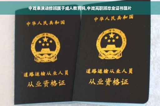 中戏表演进修班属于成人教育吗,中戏高职班毕业证书图片