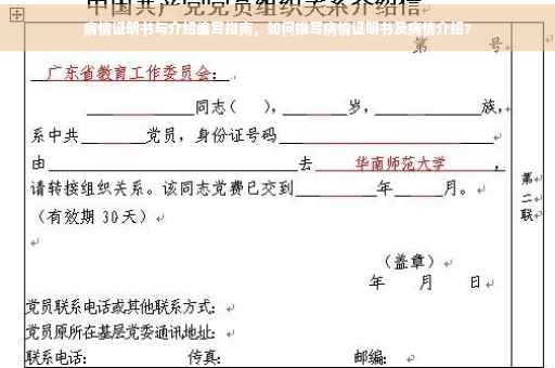 病情证明书与介绍编写指南，如何撰写病情证明书及病情介绍？