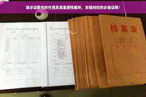 急诊证明书的作用及其重要性解析，关键时刻的必备证明！