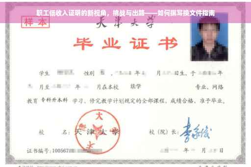 职工低收入证明的新视角，挑战与出路——如何撰写换文件指南