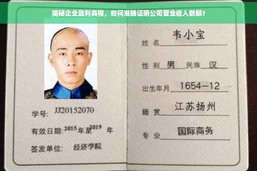 揭秘企业盈利真相，如何准确证明公司营业收入数额？