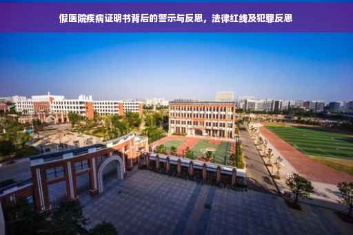 假医院疾病证明书背后的警示与反思，法律红线及犯罪反思