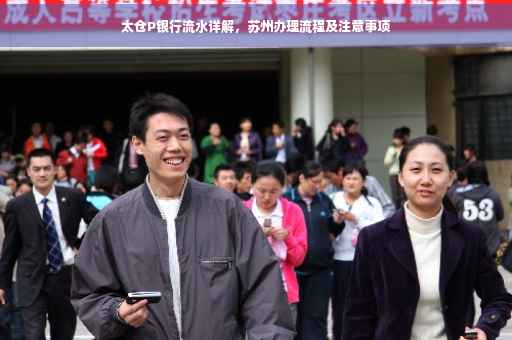 太仓P银行流水详解，苏州办理流程及注意事项