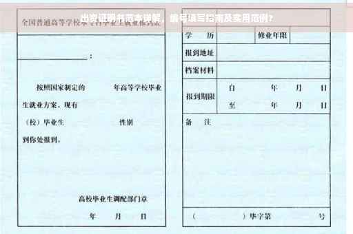 出资证明书范本详解，编号填写指南及实用范例?