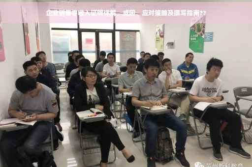 企业销售零收入证明详解，成因、应对策略及撰写指南??