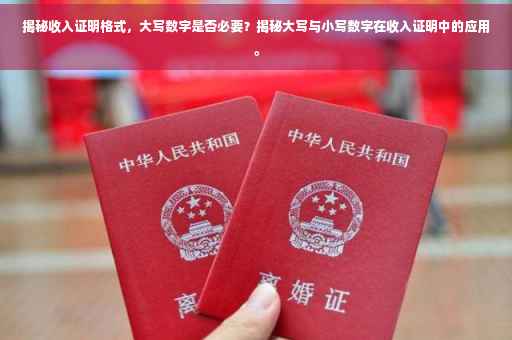 揭秘收入证明格式，大写数字是否必要？揭秘大写与小写数字在收入证明中的应用。