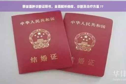 卵巢囊肿诊断证明书，全面解析病症、诊断及治疗方案 ??