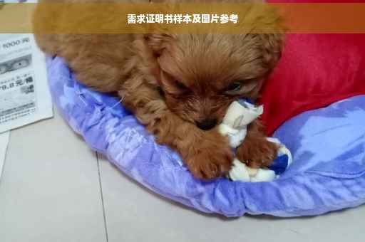 需求证明书样本及图片参考