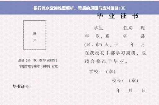 银行流水查询难题解析，背后的原因与应对策略?⚡️