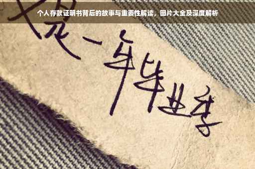 个人存款证明书背后的故事与重要性解读，图片大全及深度解析
