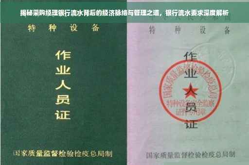 揭秘采购经理银行流水背后的经济脉络与管理之道，银行流水要求深度解析