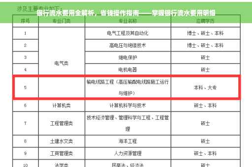 银行流水费用全解析，省钱操作指南——掌握银行流水费用明细