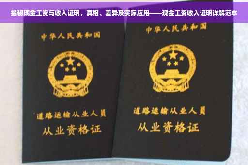 揭秘现金工资与收入证明，真相、差异及实际应用——现金工资收入证明详解范本