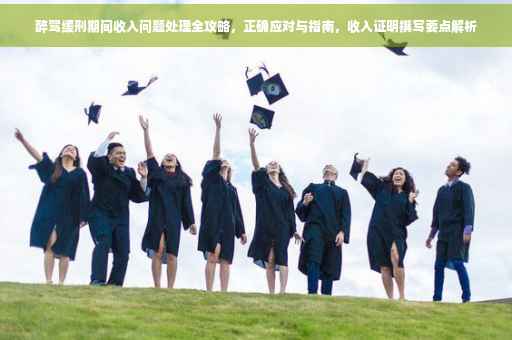 醉驾缓刑期间收入问题处理全攻略，正确应对与指南，收入证明撰写要点解析