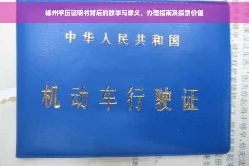 郴州学历证明书背后的故事与意义，办理指南及探索价值