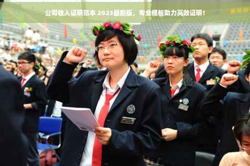 公司收入证明范本 2023最新版，专业模板助力高效证明！