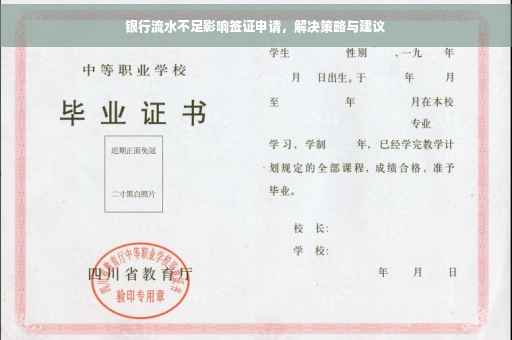 银行流水不足影响签证申请，解决策略与建议