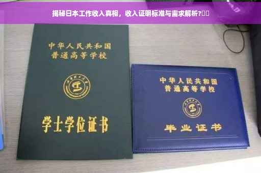 揭秘日本工作收入真相，收入证明标准与需求解析?⚡️