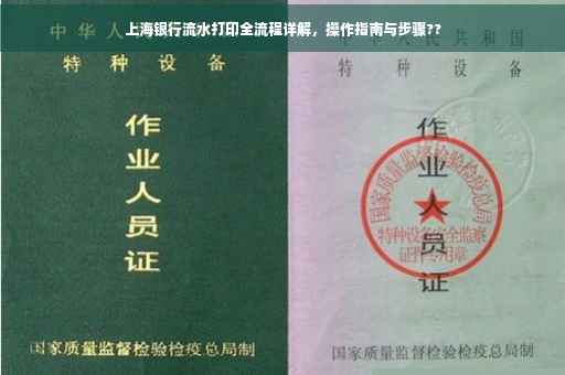 上海银行流水打印全流程详解，操作指南与步骤??