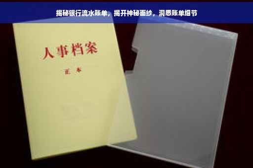 揭秘银行流水账单，揭开神秘面纱，洞悉账单细节