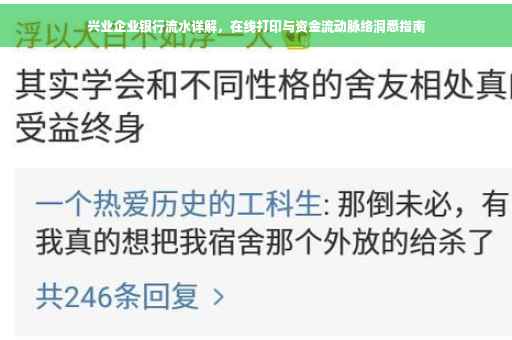 兴业企业银行流水详解，在线打印与资金流动脉络洞悉指南