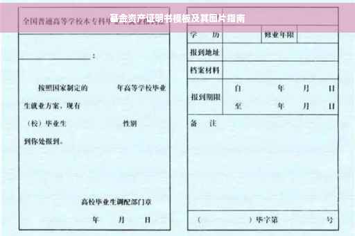 基金资产证明书模板及其图片指南