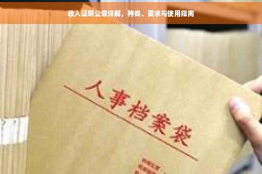 收入证明公章详解，种类、要求与使用指南