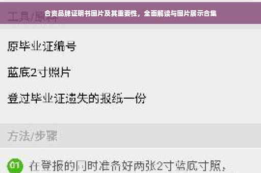 合资品牌证明书图片及其重要性，全面解读与图片展示合集