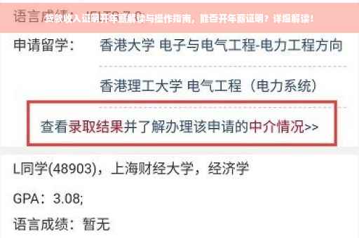 贷款收入证明开年薪解读与操作指南，能否开年薪证明？详细解读！