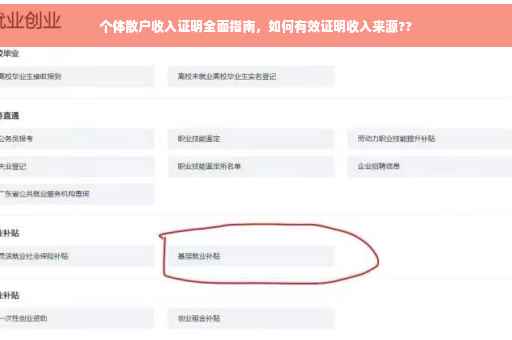 个体散户收入证明全面指南，如何有效证明收入来源??